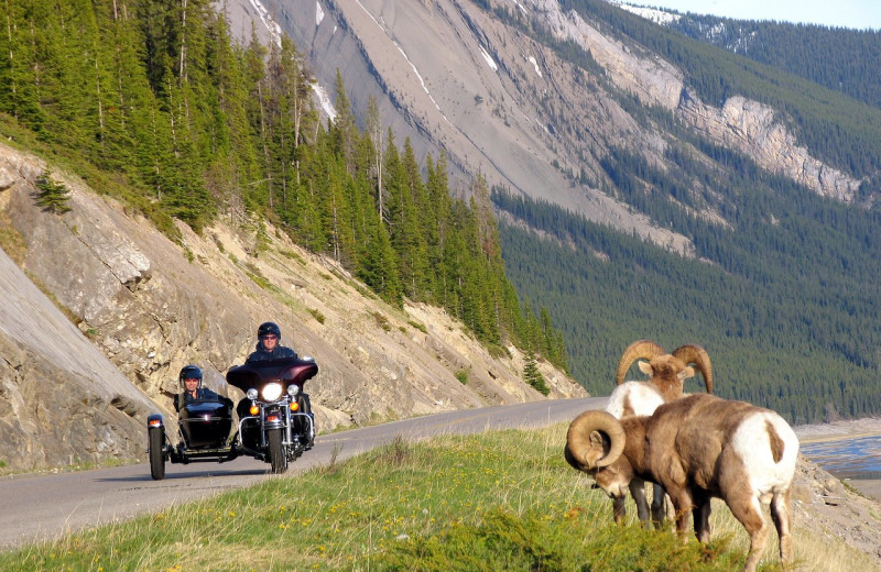 Motorcycle touring at Mount Robson Inn.