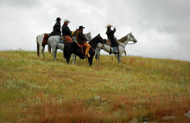 Amazing annual Custer Round Up