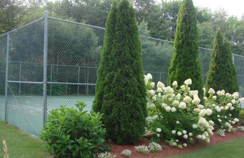 Tennis court at Pink Blossoms Resort.