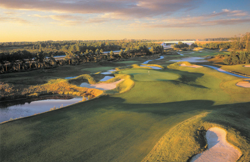 Golf near CondoLux Vacation Rentals.