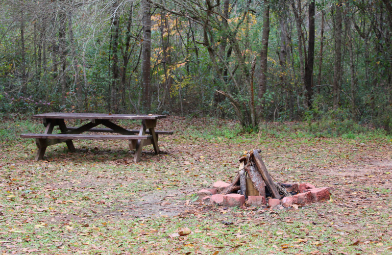 Guest picnic and fire area at Berry Creek Cabins.