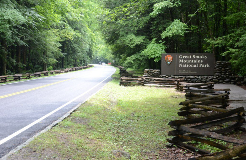 National park near Old Creek Lodge.