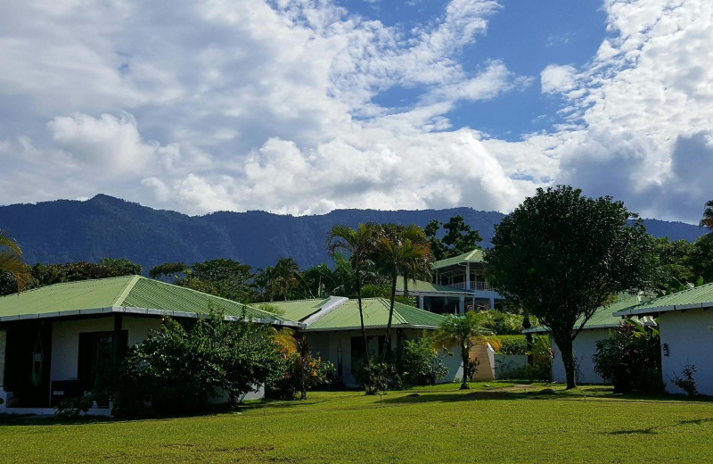 Exterior view of Hotel Lookout at Playa Tortuga.