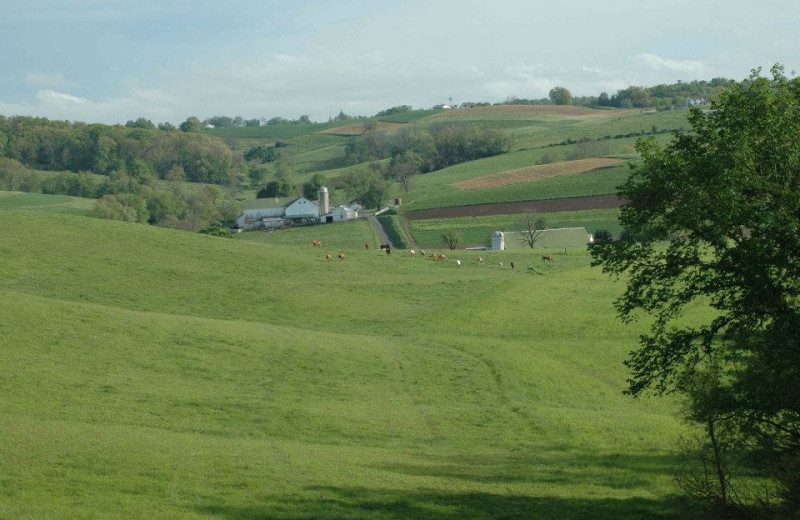 Grounds at Guggisberg Swiss Inn/Amish Country Riding Stables.