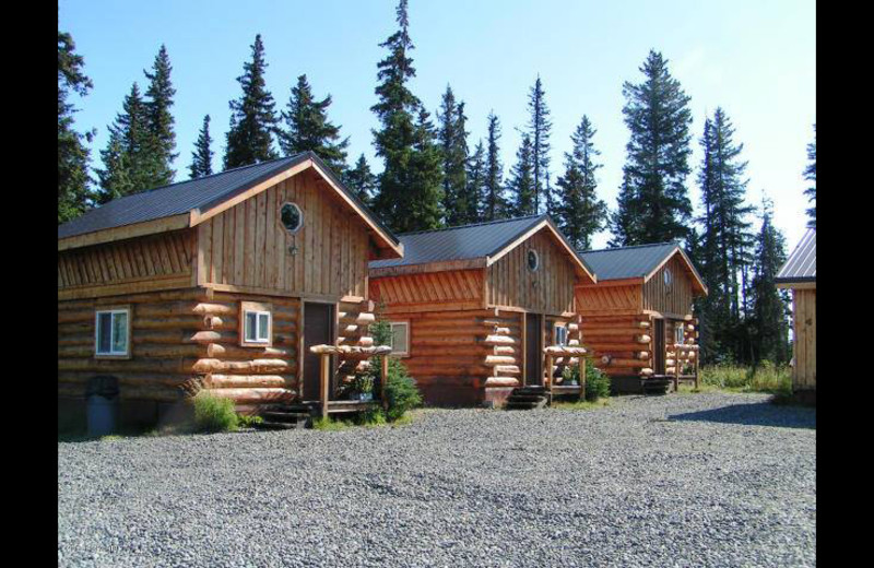 Cabins at Sleepy Bear Cabins.