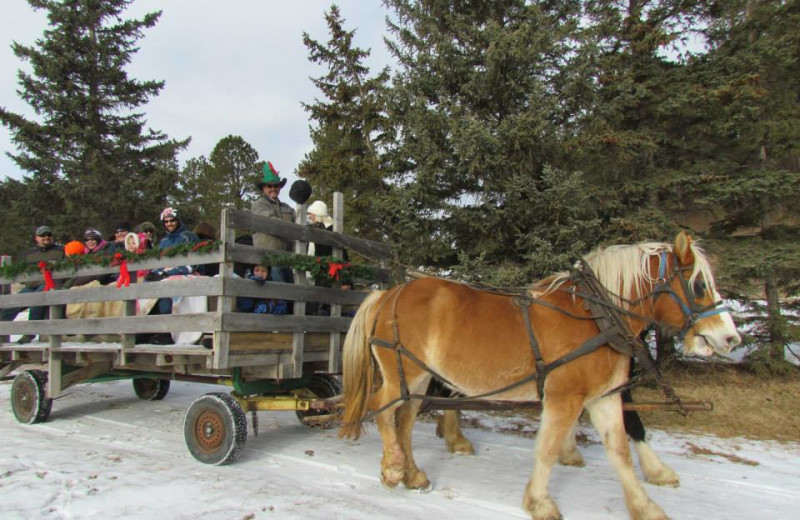 Holiday wagon ride at High Country Guest Ranch.