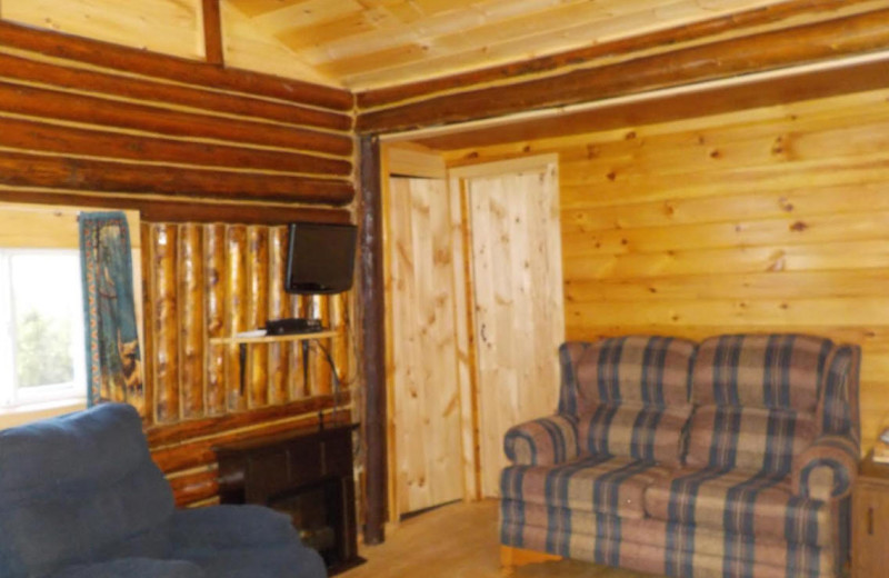 Cabin living room at Owls Nest Lodge.