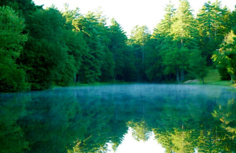 Beautiful lake view at Mill House Lodge.