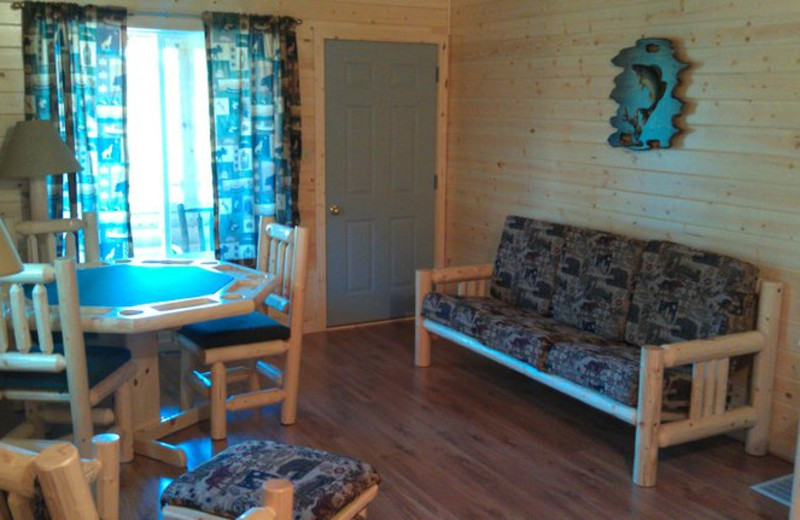 Cabin living area at Shady Roost Lodge.