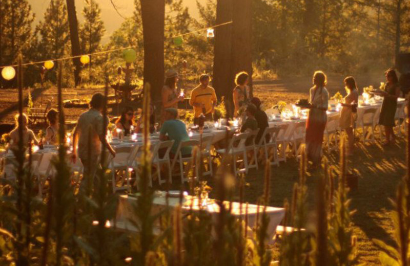 Party at Precious Forest.