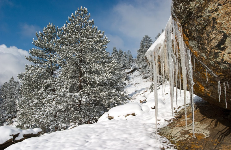 Scenic views around McGregor Mountain Lodge.