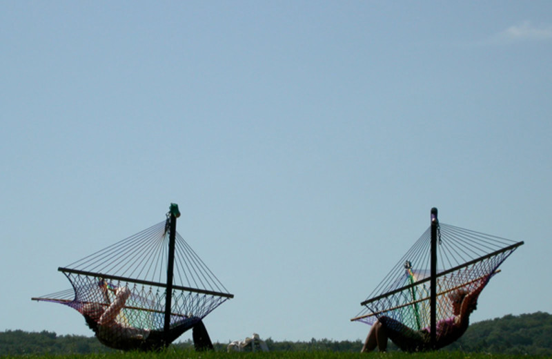 Relaxation is required at Common Ground Center!