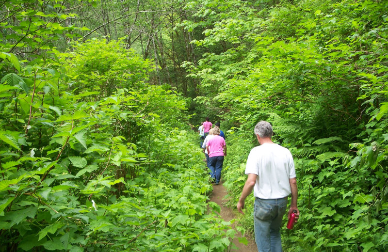 Hiking at Old Town Inn.