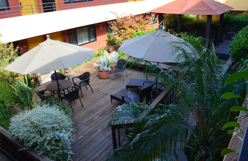 Patio view at Stanford Terrace Inn.