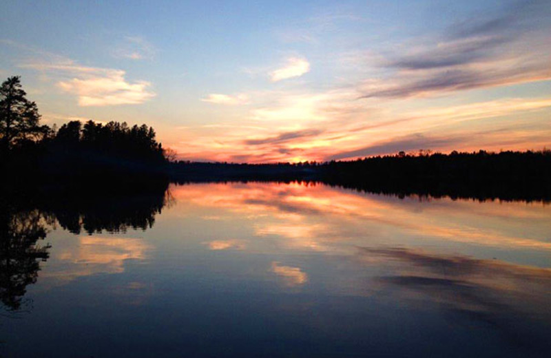 Timber Wolf Lodge (Ely, MN) Resort Reviews