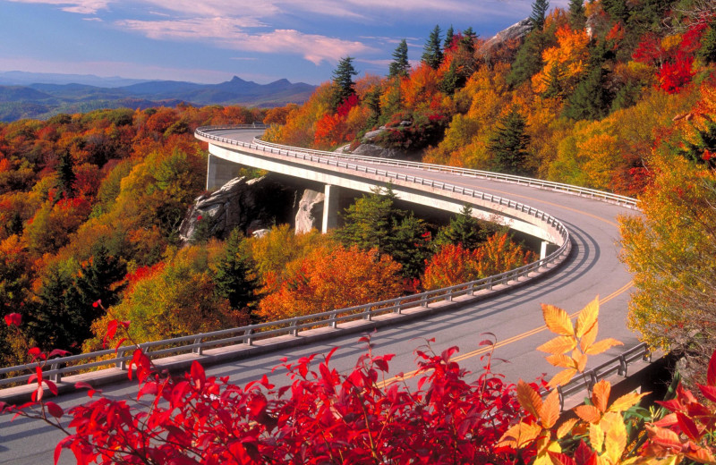 Fall colors at Old Creek Lodge.