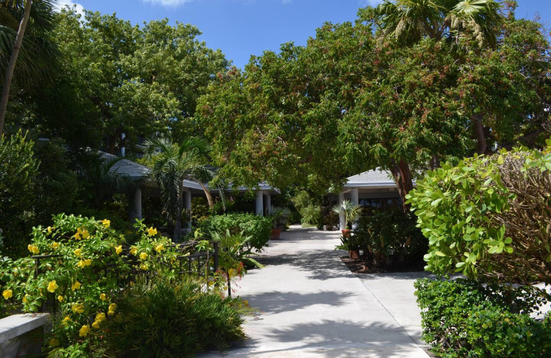 Garden at 1800 Atlantic, All Florida Keys Property Management.