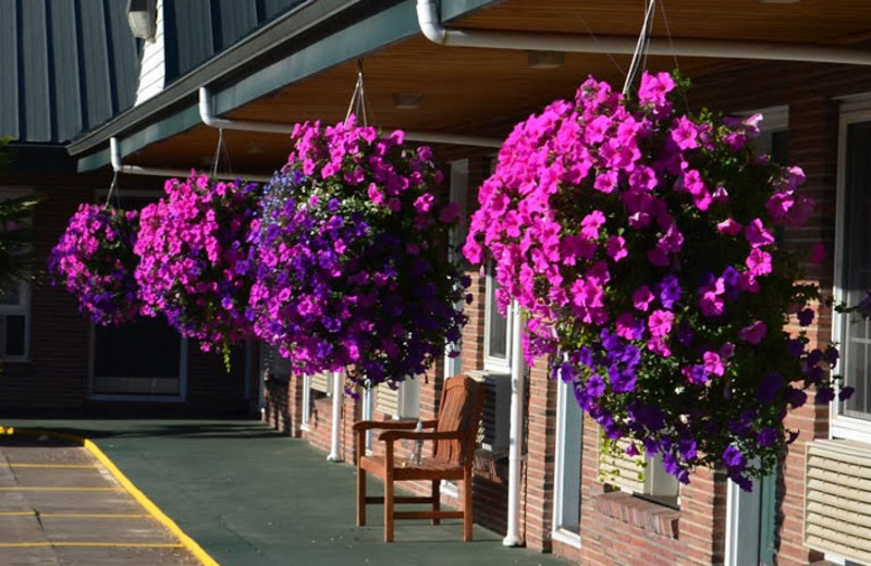 Exterior View of Courtesy Inn Eugene