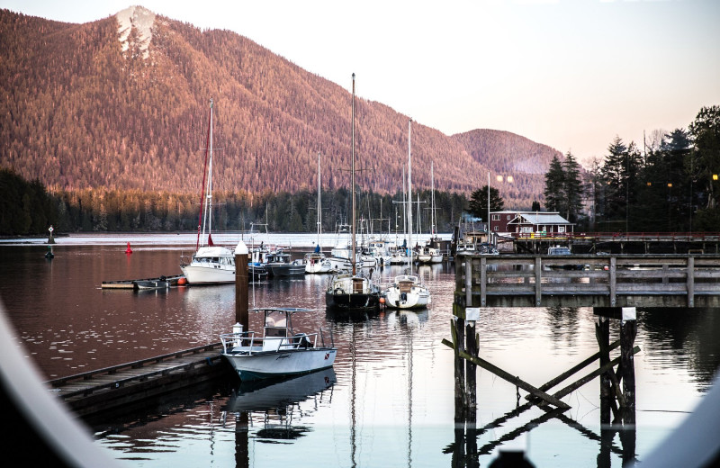 Marina at Tofino Resort + Marina.