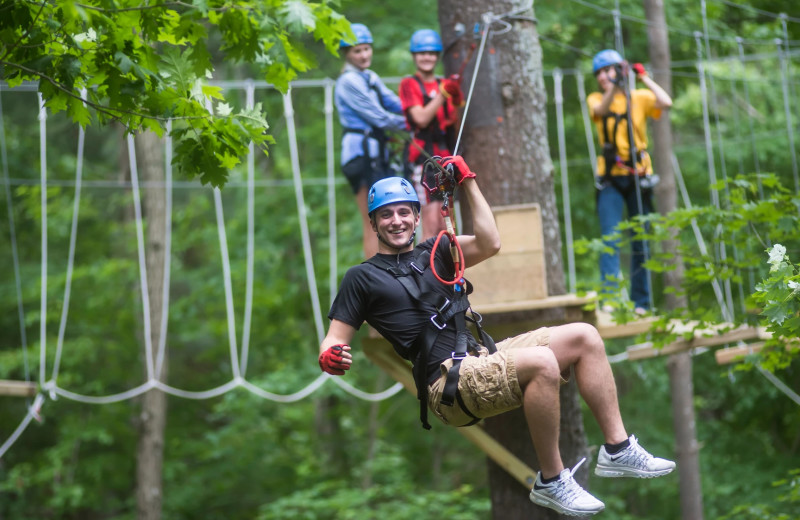 Adventure course at Chula Vista Resort.