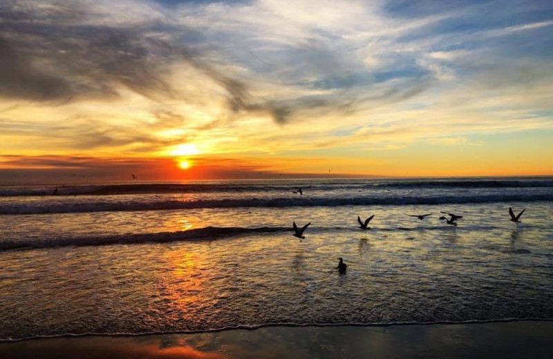 Beach at Pajaro Dunes Resort.