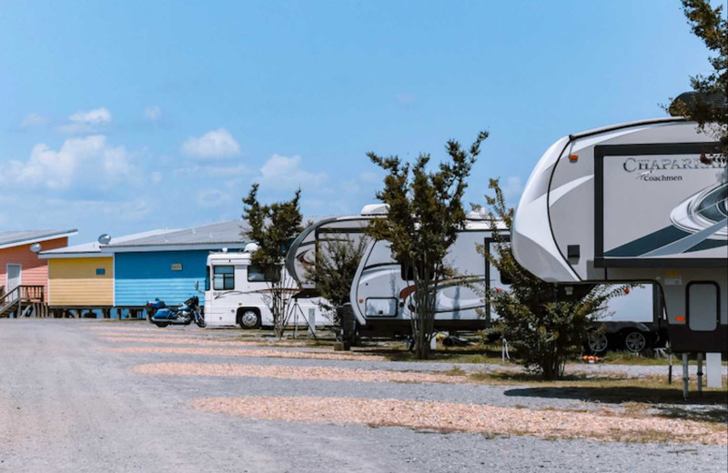 RV campground at D'Arbonne Pointe.