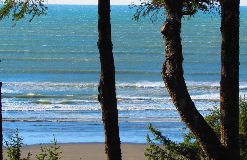 The beach at Ocean Crest Resort.