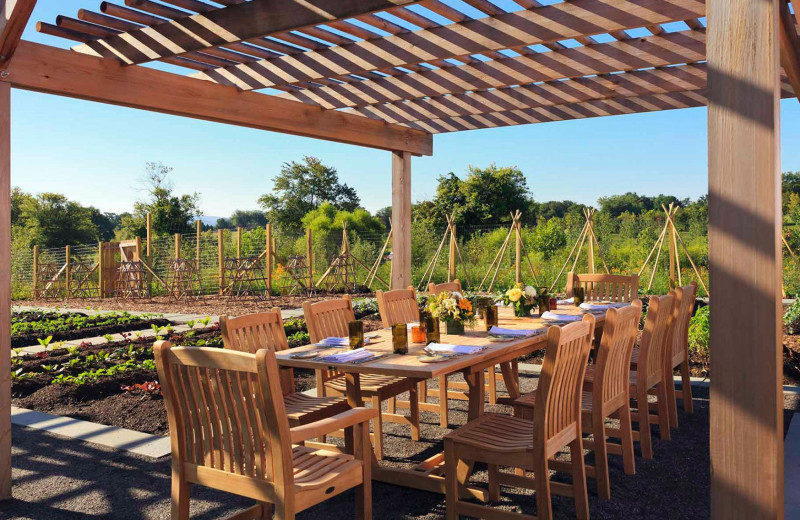 Patio dining at Salamander Resort & Spa.