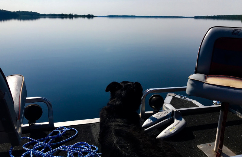 Boating at Driftwood Resort.