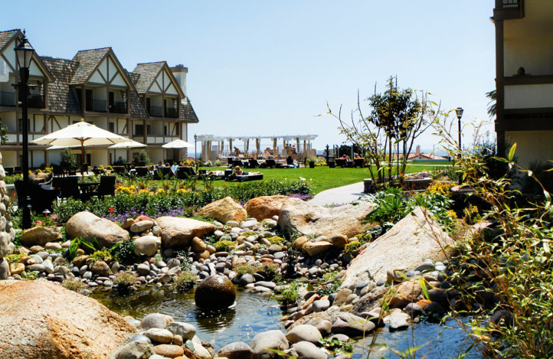 Resort Grounds at the Carlsbad Inn Beach Resort