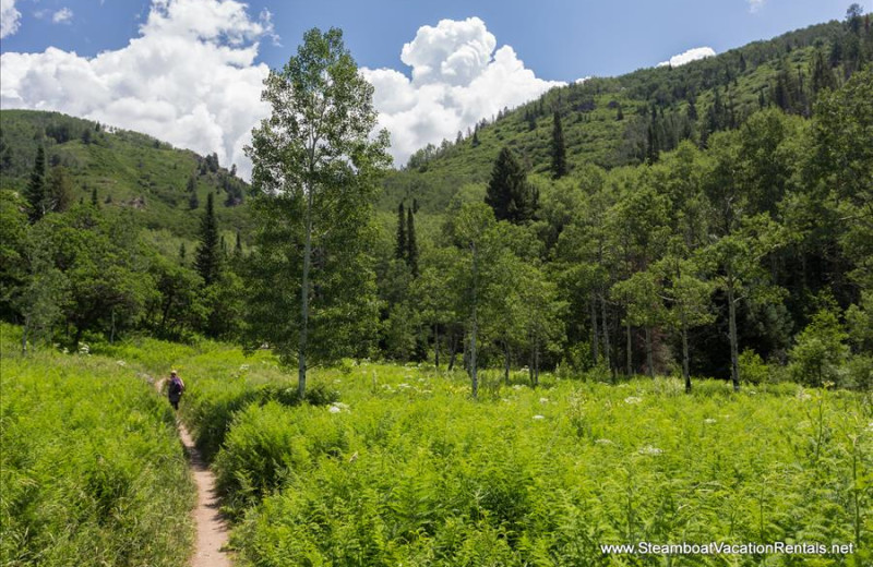 Hiking trail at Steamboat Vacation Rentals.