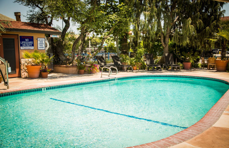 Outdoor pool at Adelaide Inn.