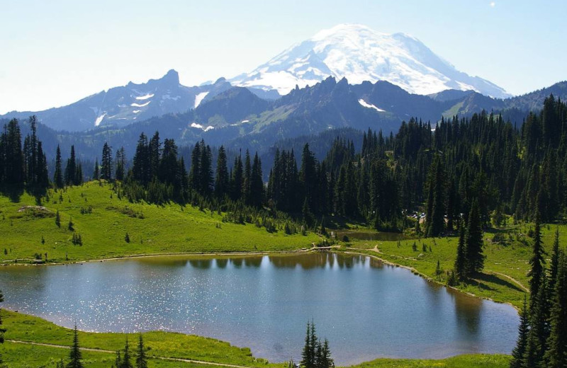 Scenic view at Packwood Lodge.