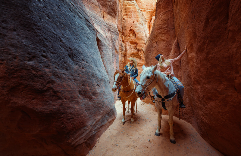 Horseback riding at Zion Ponderosa Ranch Resort.