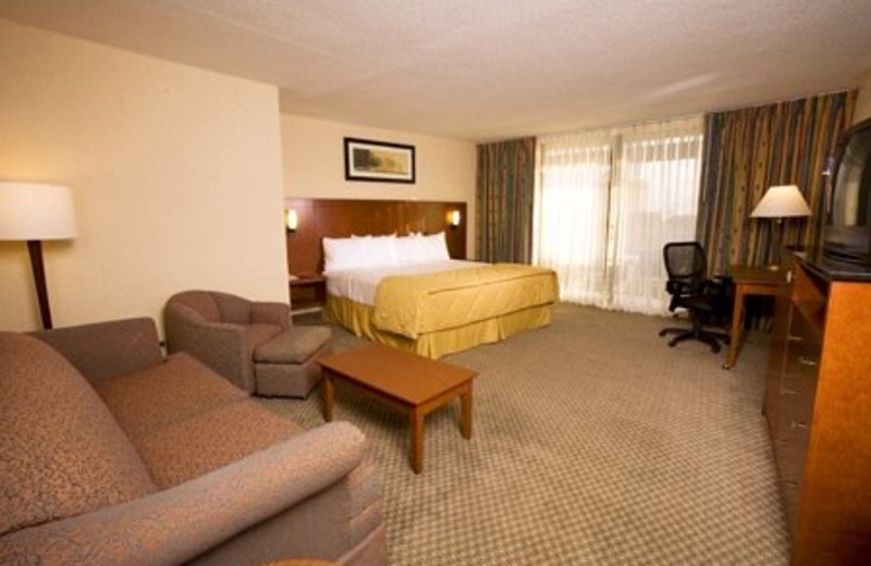 King Room at Best Western Lake Buena Vista