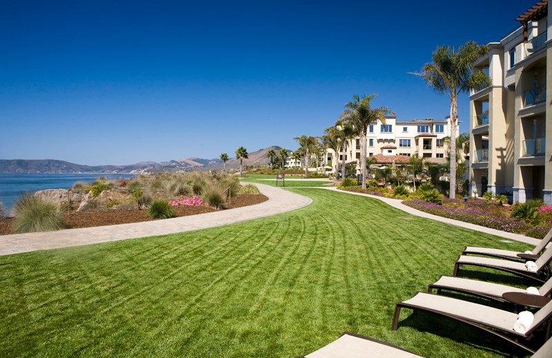 Exterior View of Dolphin Bay Resort