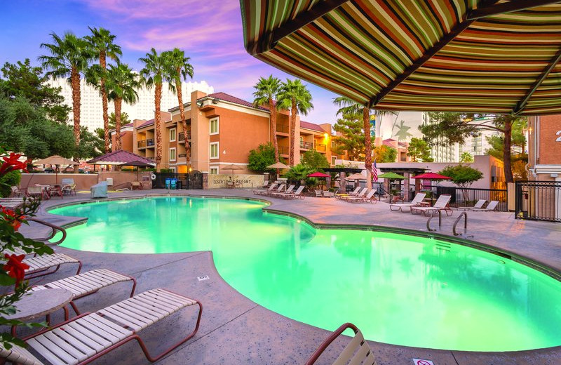 Outdoor pool at Desert Rose Resort.