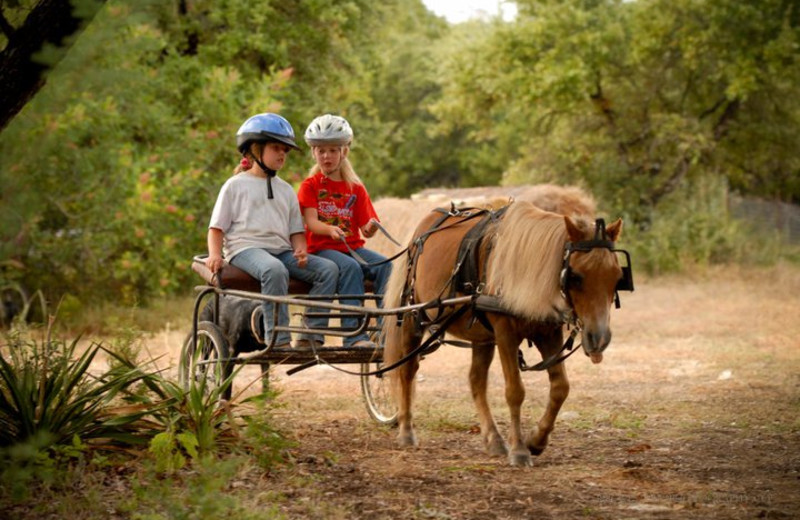 Going for a Ride at Sugar & Spice Ranch