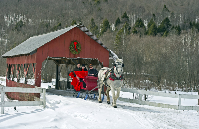 Sleigh ride at Topnotch Resort.