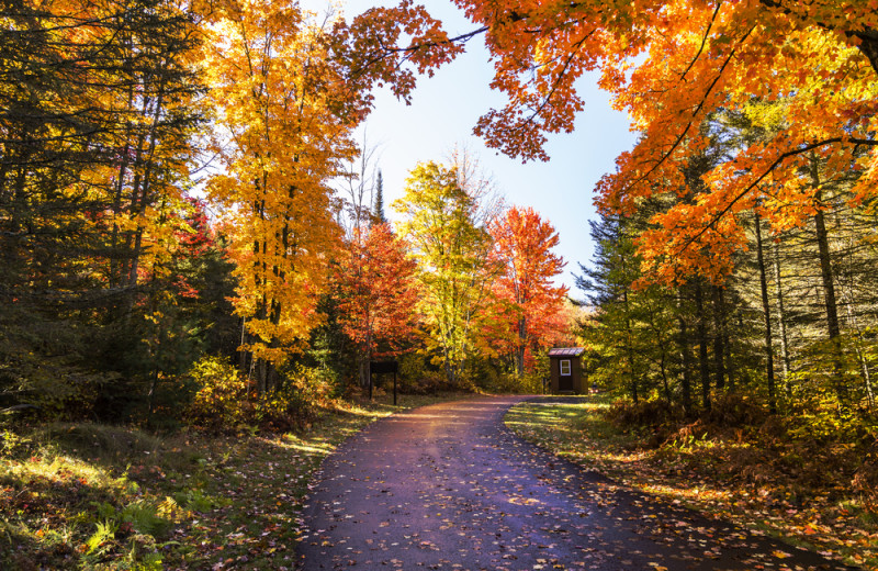 Fall colors near Albergo Allegria.