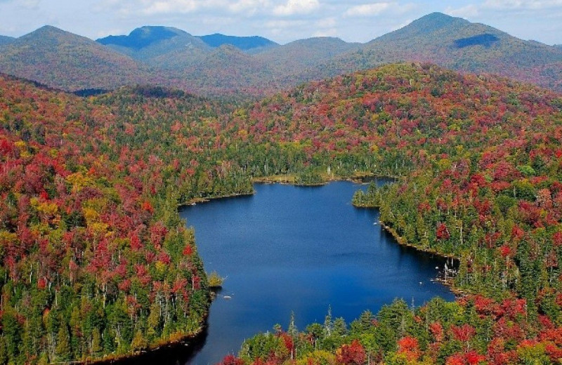 Fall colors at GO-Cottage.