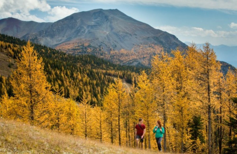 Fall colors at Mountaineer Lodge.