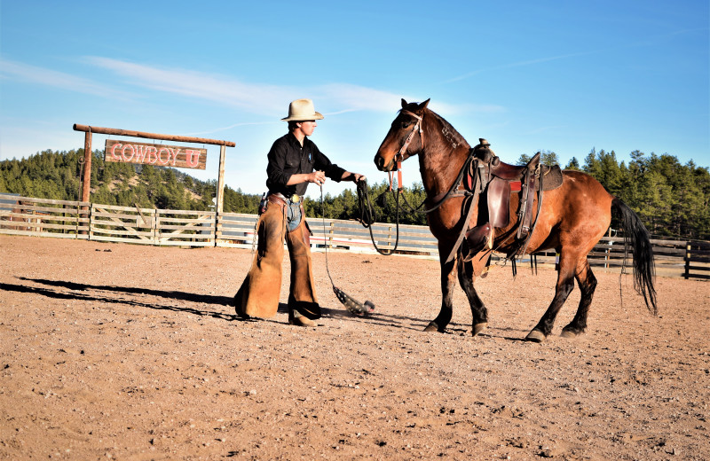 Dude ranch at M Lazy C Ranch.