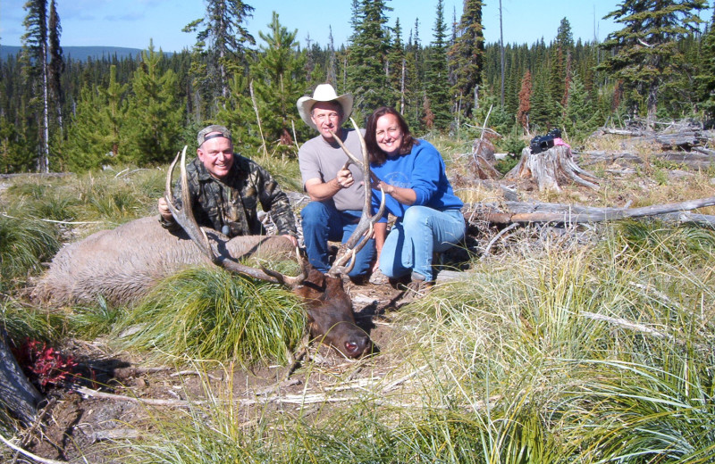 Elk hunting at Silver Spur Outfitters.