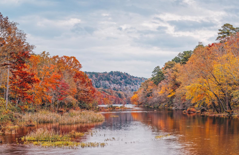 River near Blue Beaver Luxury Cabins.
