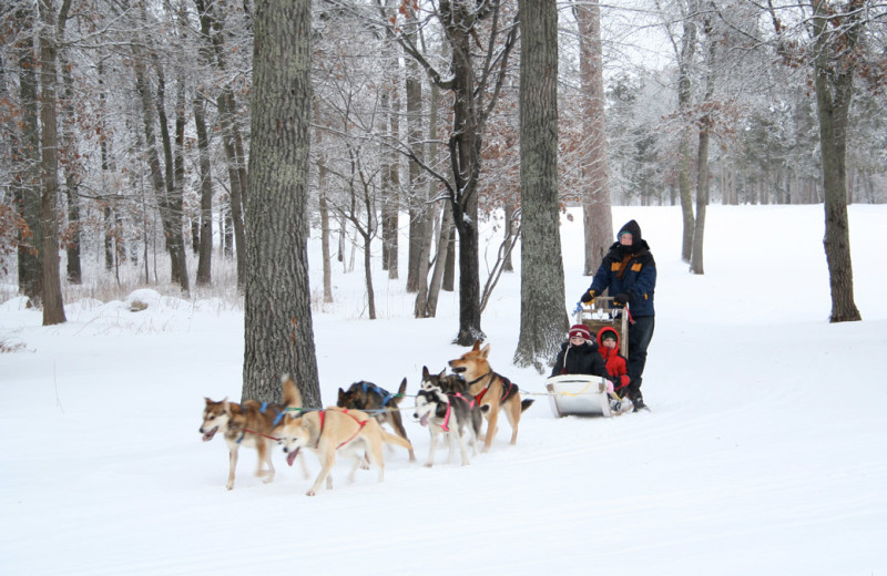 Dog sled at Grand View Lodge.