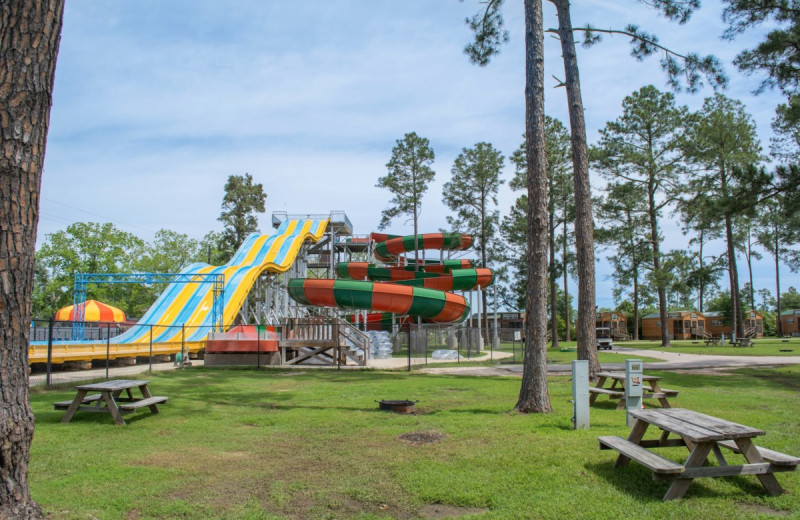 Campground at Lone Star Jellystone.