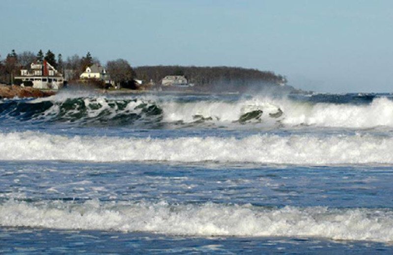 Shoreline at Sands by the Sea.