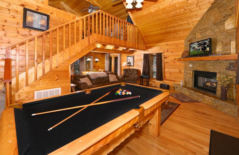 Cabin living room at Little Valley Mountain Resort.
