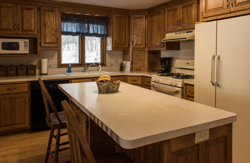 Cabin kitchen at Pitlik's Sand Beach Resort.